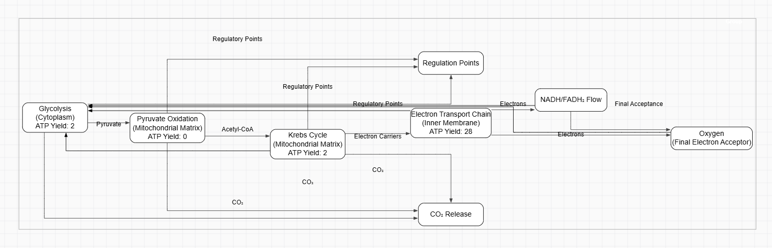 Client Server Architecture